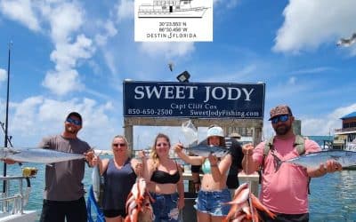 Exploring Destins Marine Life What to Expect on Your Trip
