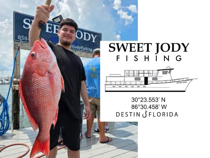 Top 5 Reasons to Go Fishing in Destin