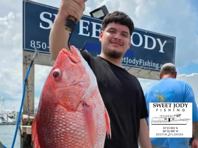 Affordable Destin Party Boat Fishing in 2026