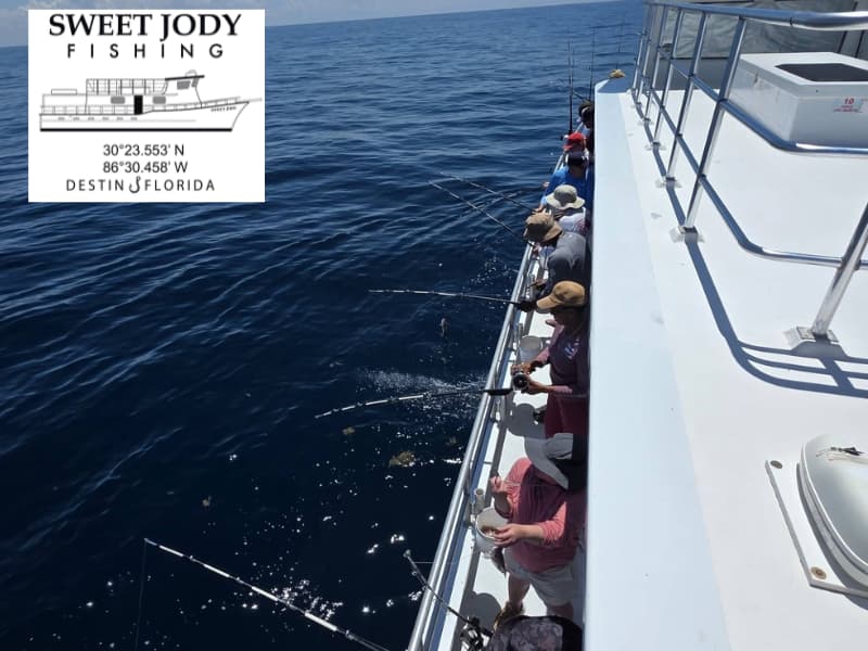 Best Deep Sea Fishing Charters